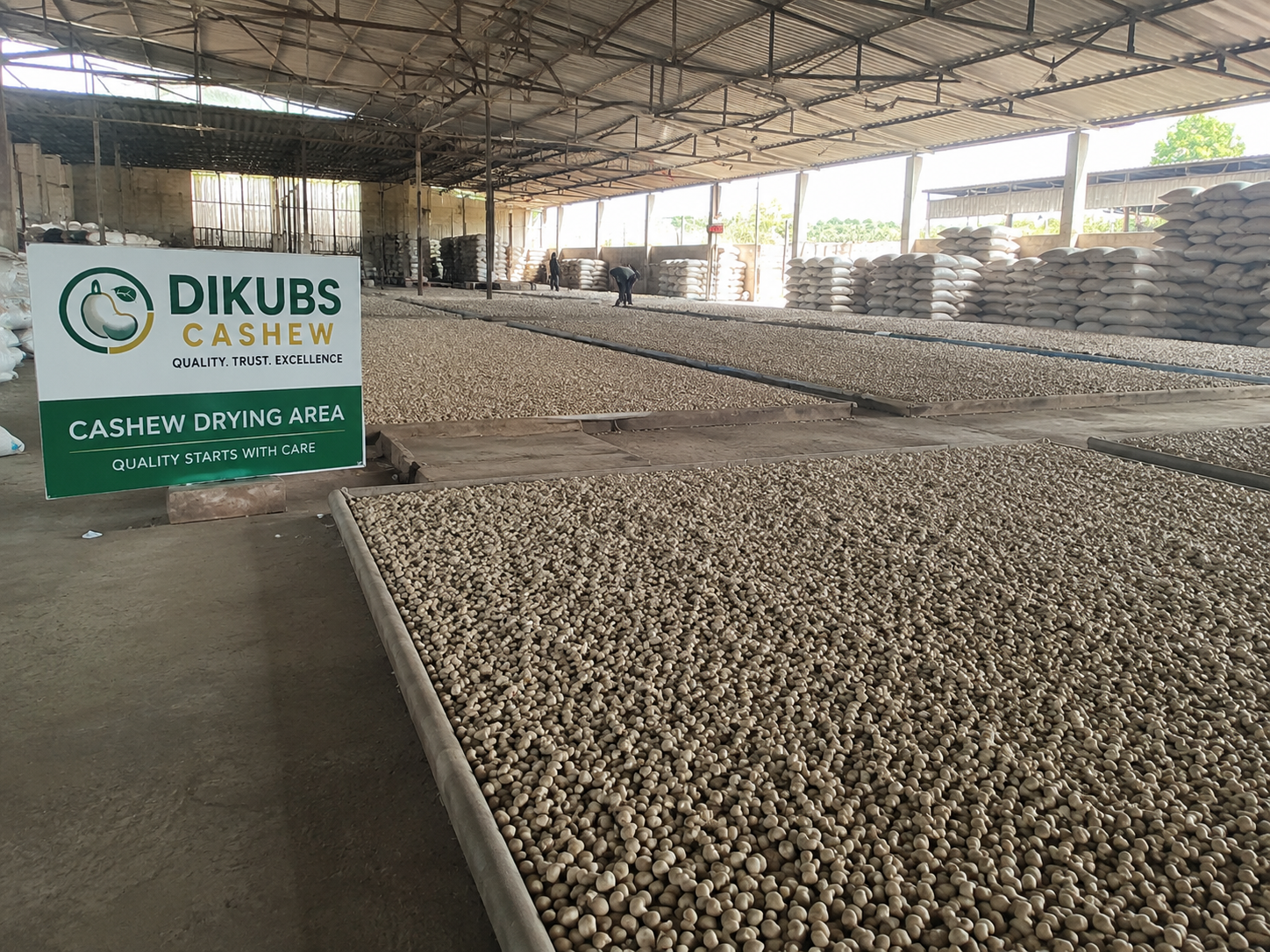 Cashew Processing